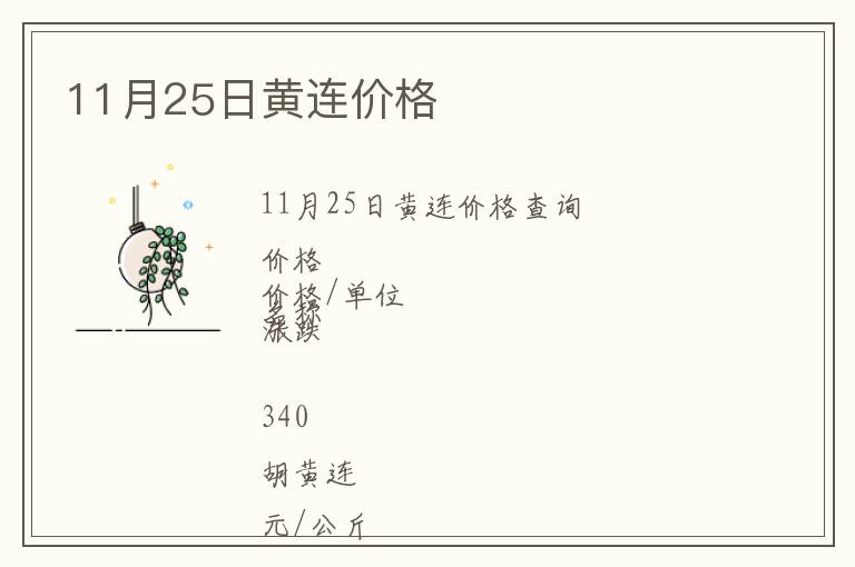 11月25日黃連價格