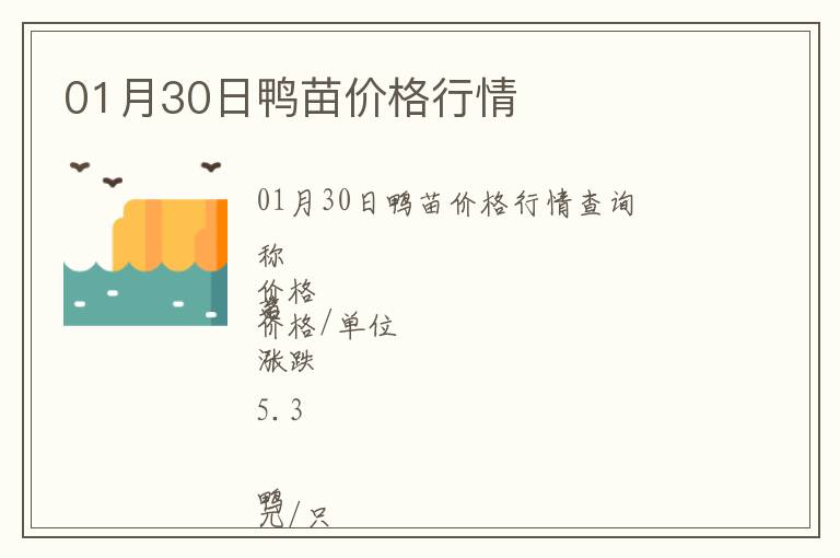 01月30日鴨苗價格行情