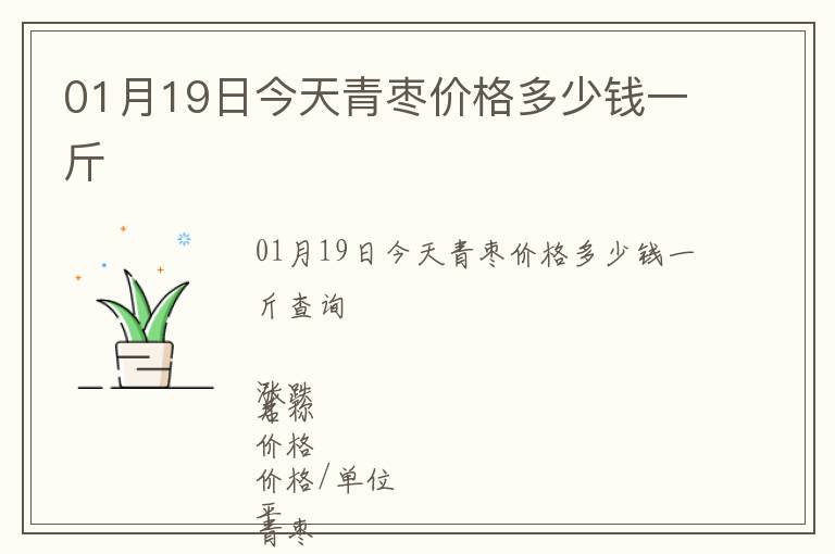 01月19日今天青棗價(jià)格多少錢一斤