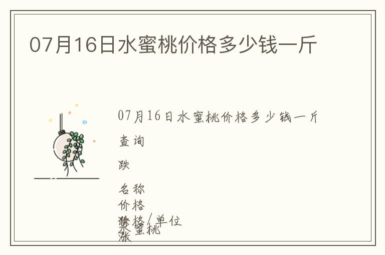 07月16日水蜜桃價格多少錢一斤