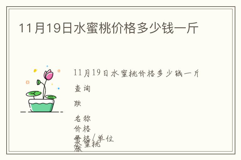 11月19日水蜜桃價格多少錢一斤