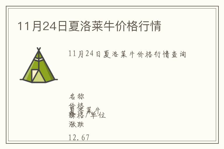 11月24日夏洛萊牛價(jià)格行情