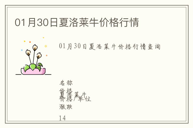 01月30日夏洛萊牛價(jià)格行情