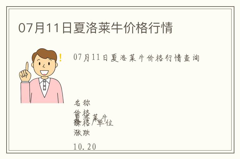 07月11日夏洛萊牛價格行情