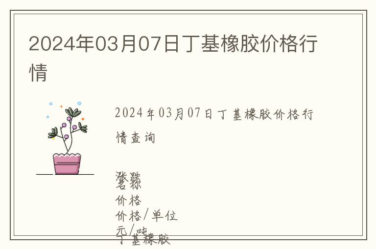 2024年03月07日丁基橡膠價格行情