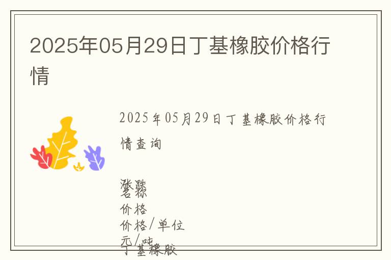 2025年05月29日丁基橡膠價格行情