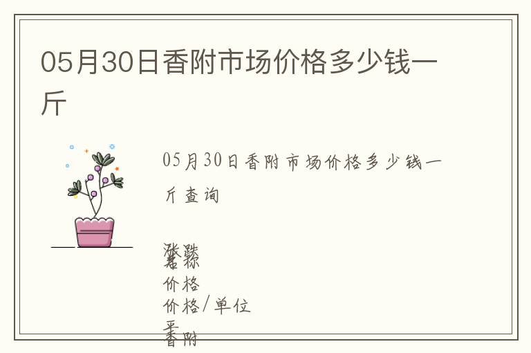 05月30日香附市場(chǎng)價(jià)格多少錢一斤
