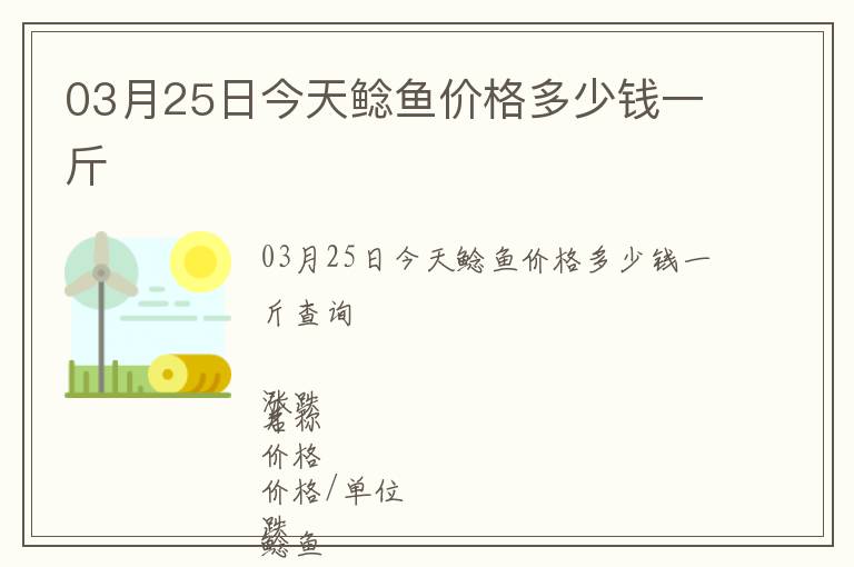 03月25日今天鯰魚價格多少錢一斤