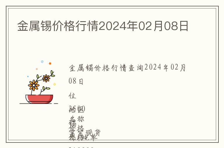 金屬錫價(jià)格行情2024年02月08日