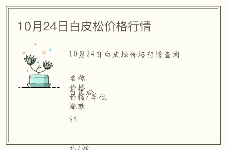 10月24日白皮松價(jià)格行情