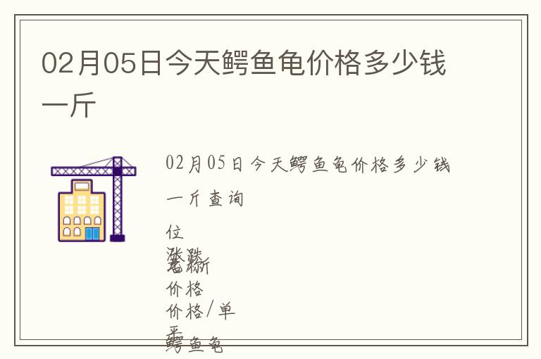 02月05日今天鱷魚(yú)龜價(jià)格多少錢一斤