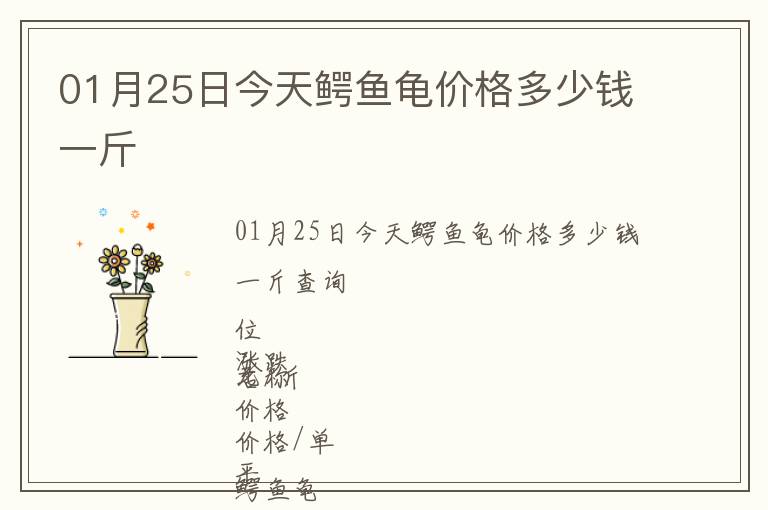 01月25日今天鱷魚龜價(jià)格多少錢一斤