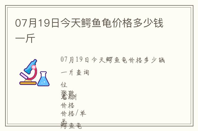 07月19日今天鱷魚龜價(jià)格多少錢一斤