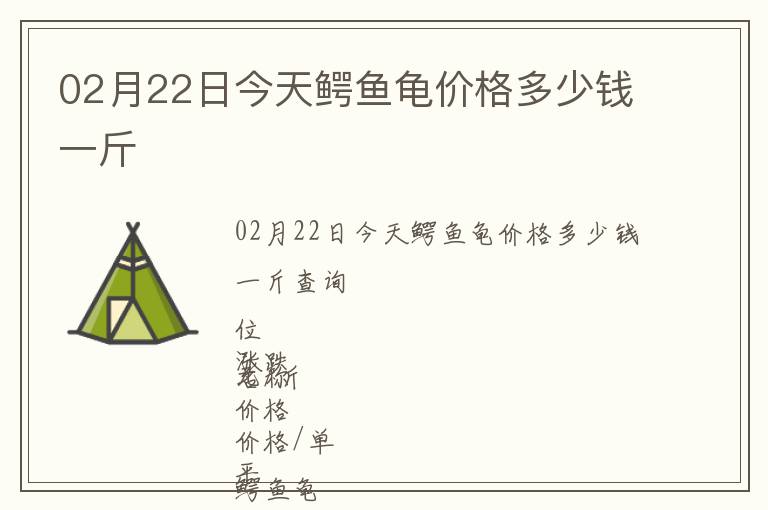 02月22日今天鱷魚龜價格多少錢一斤