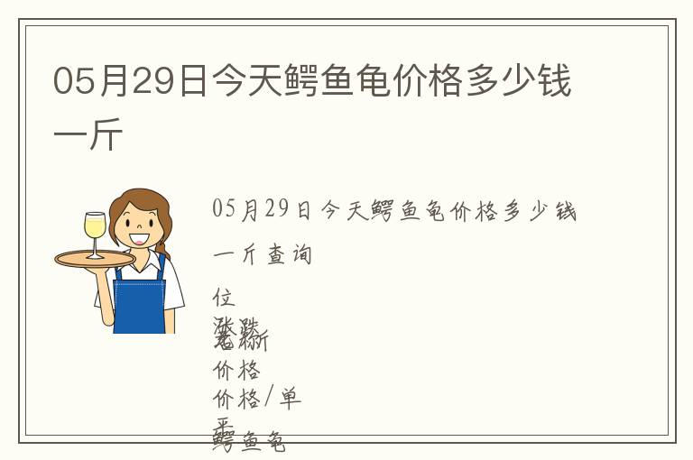 05月29日今天鱷魚龜價格多少錢一斤