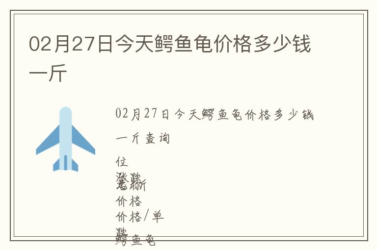 02月27日今天鱷魚(yú)龜價(jià)格多少錢一斤