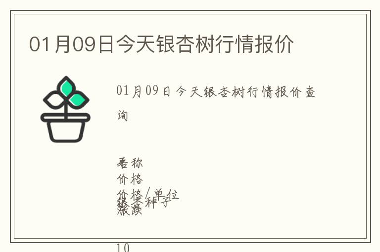 01月09日今天銀杏樹(shù)行情報(bào)價(jià)