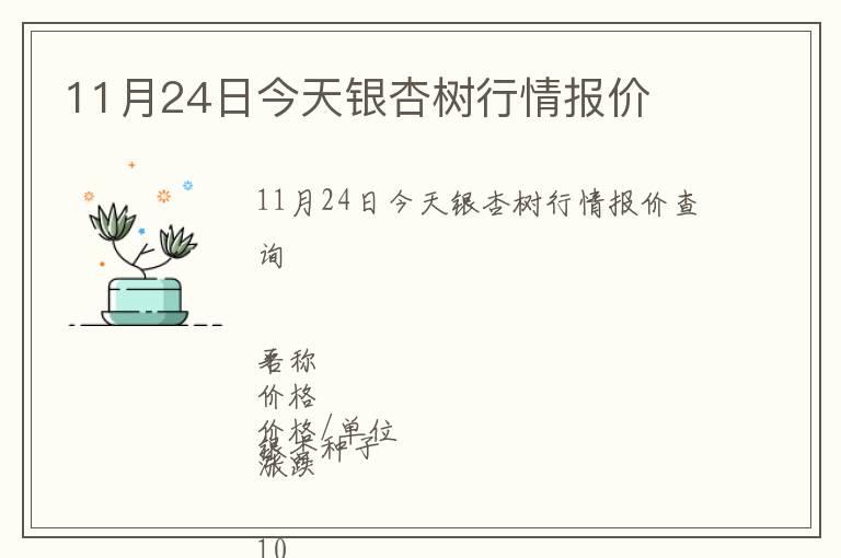 11月24日今天銀杏樹(shù)行情報(bào)價(jià)