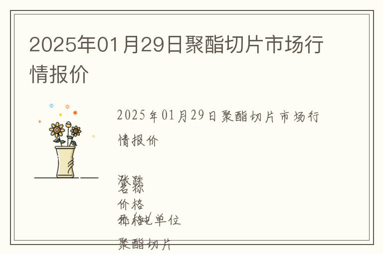 2025年01月29日聚酯切片市場行情報價
