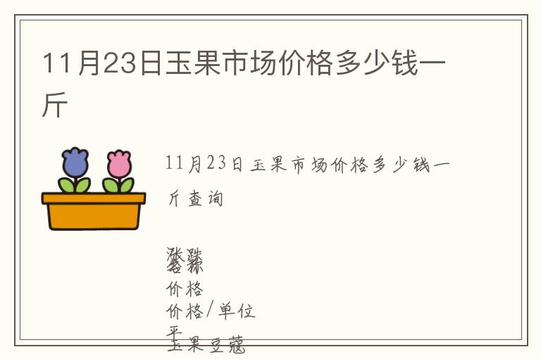 11月23日玉果市場(chǎng)價(jià)格多少錢(qián)一斤