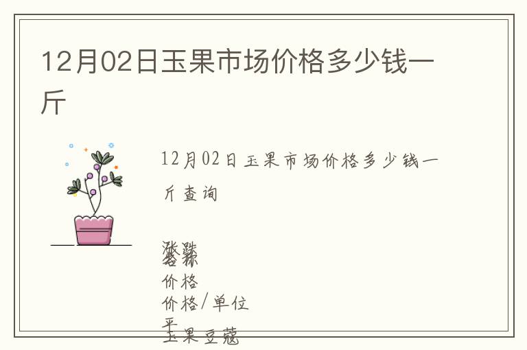 12月02日玉果市場價(jià)格多少錢一斤