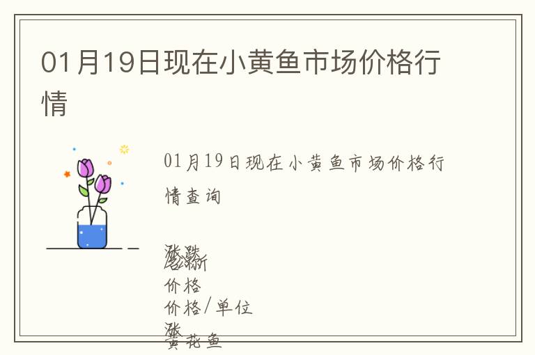 01月19日現在小黃魚市場價格行情