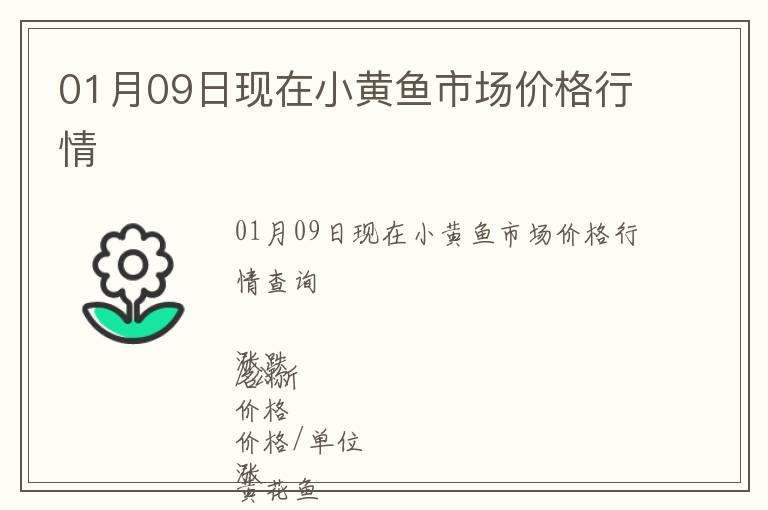 01月09日現(xiàn)在小黃魚市場價格行情