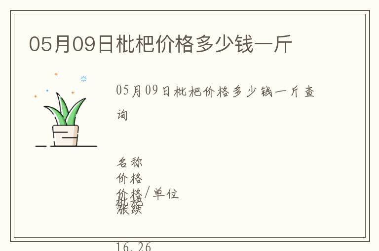 05月09日枇杷價格多少錢一斤