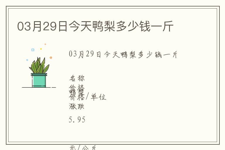 03月29日今天鴨梨多少錢(qián)一斤