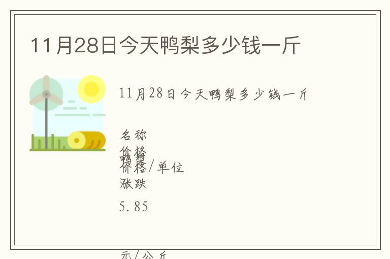 11月28日今天鴨梨多少錢(qián)一斤