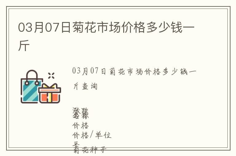 03月07日菊花市場價格多少錢一斤