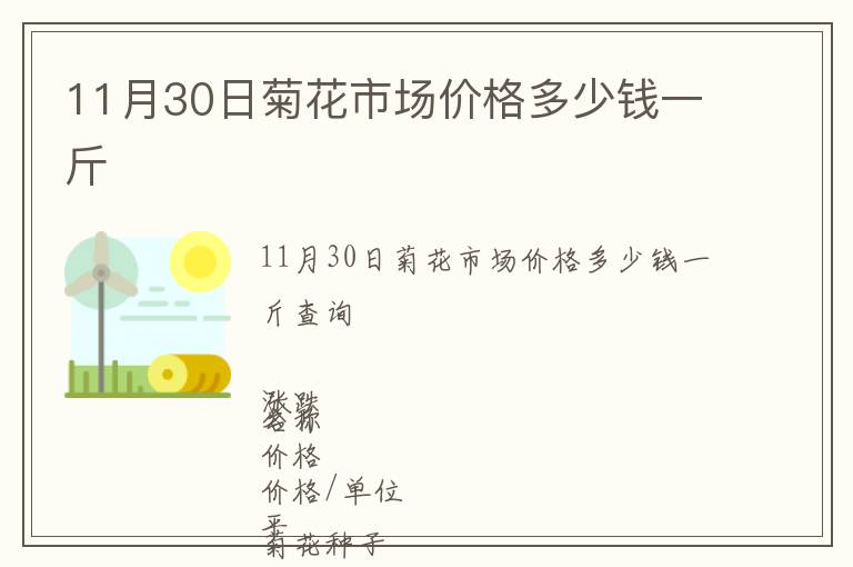 11月30日菊花市場(chǎng)價(jià)格多少錢一斤
