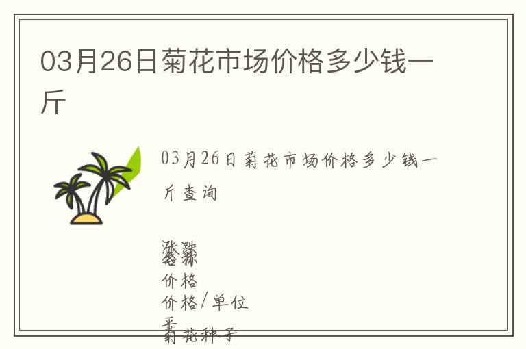 03月26日菊花市場價(jià)格多少錢一斤