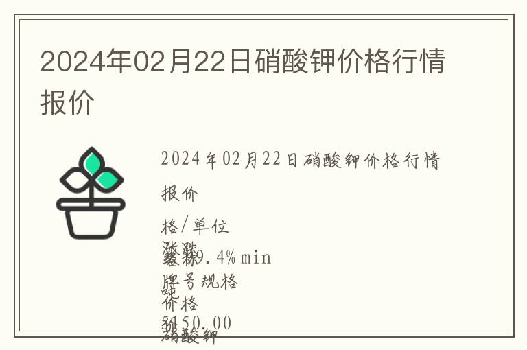 2024年02月22日硝酸鉀價格行情報價