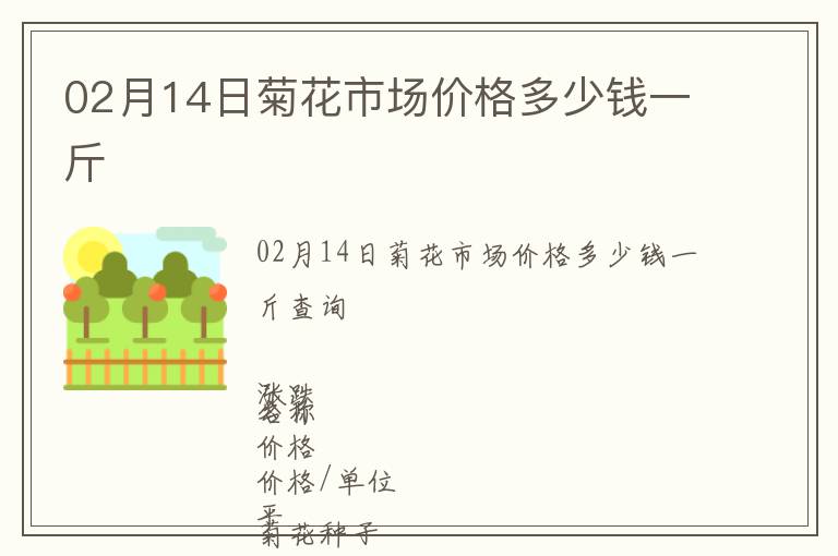 02月14日菊花市場價格多少錢一斤