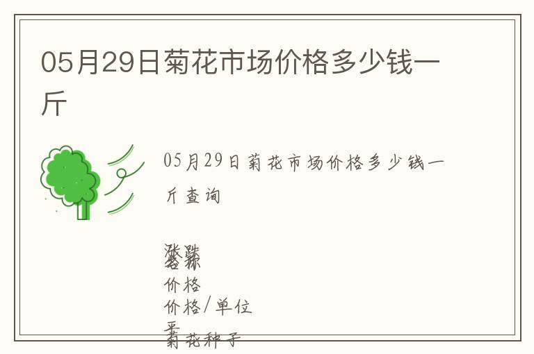 05月29日菊花市場價格多少錢一斤