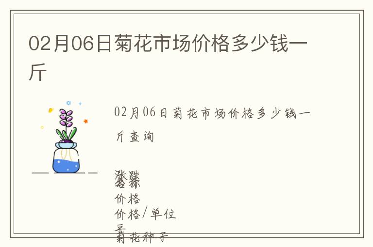 02月06日菊花市場(chǎng)價(jià)格多少錢一斤