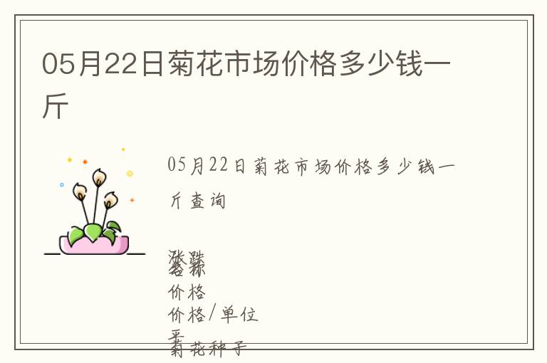 05月22日菊花市場價格多少錢一斤