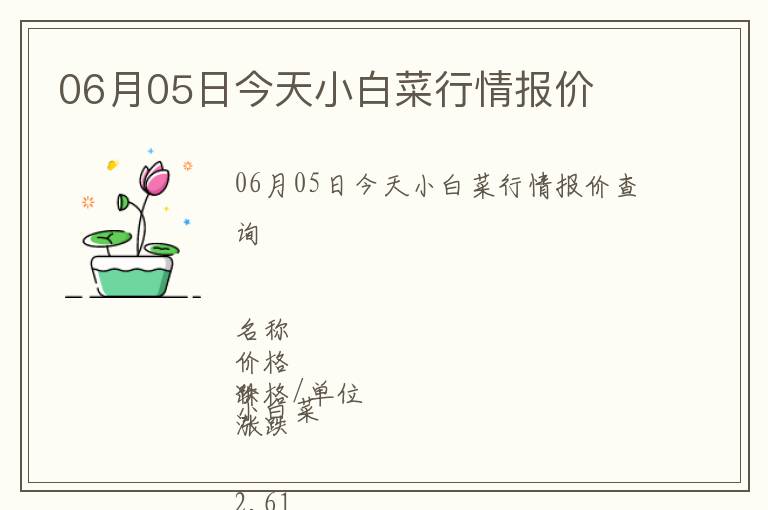 06月05日今天小白菜行情報價