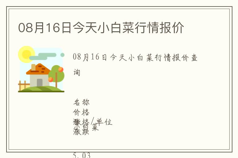 08月16日今天小白菜行情報價