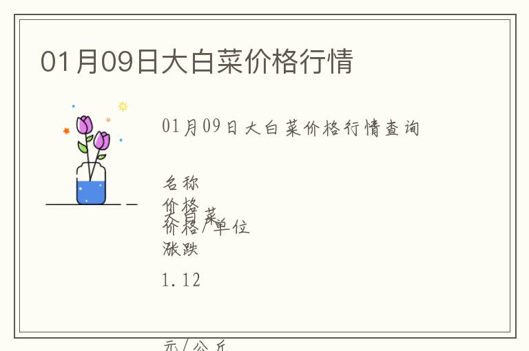 01月09日大白菜價格行情