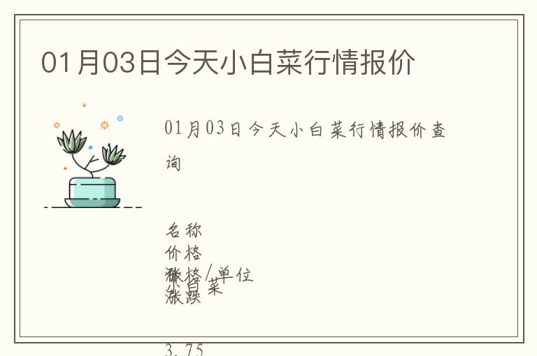 01月03日今天小白菜行情報(bào)價(jià)