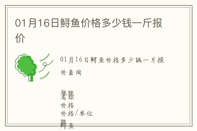 01月16日鱘魚價格多少錢一斤報價