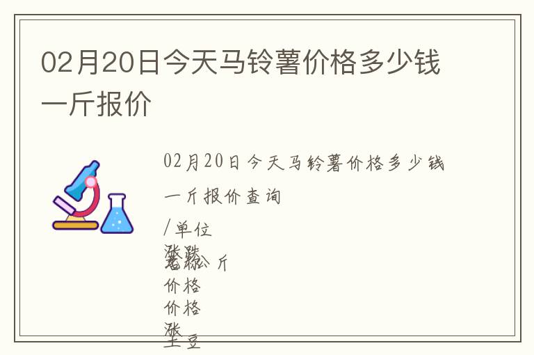 02月20日今天馬鈴薯價格多少錢一斤報價