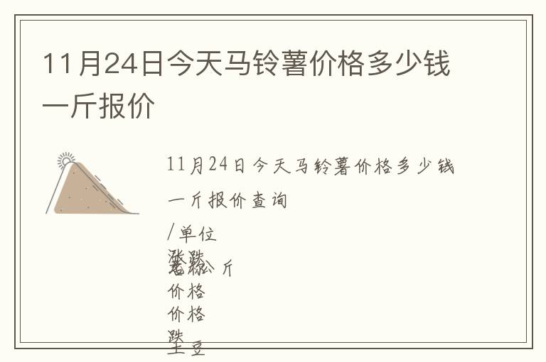11月24日今天馬鈴薯價(jià)格多少錢一斤報(bào)價(jià)