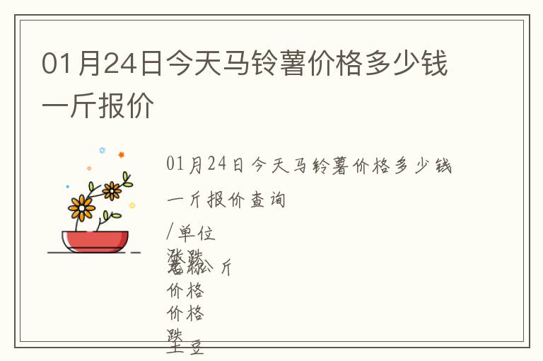 01月24日今天馬鈴薯價格多少錢一斤報價
