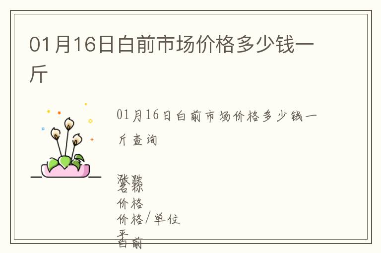 01月16日白前市場(chǎng)價(jià)格多少錢一斤