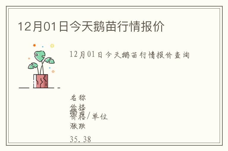 12月01日今天鵝苗行情報價