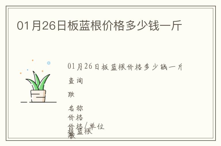 01月26日板藍(lán)根價(jià)格多少錢一斤