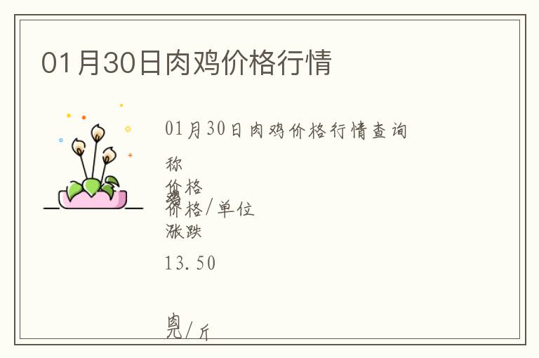 01月30日肉雞價格行情